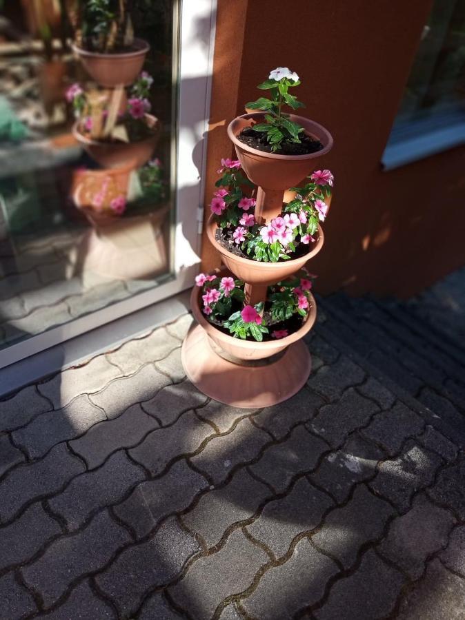 ホテル Pergola Panzio Balatonföldvár エクステリア 写真